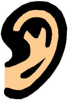 ear.jpg (9728 bytes)